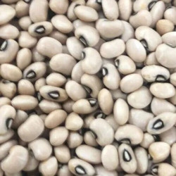 Lobiya Beans