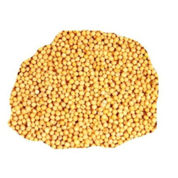 Pili Rai (Yellow Mustard)