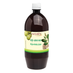 Patanjali Arjun Amla Juice (L)