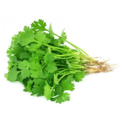 Hara dhaniya - coriander 100 gms