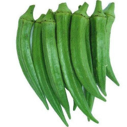Bhindi 500 gms