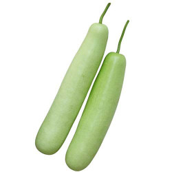 Lauki - bottle gourd 500 gms