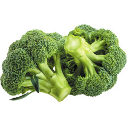 Broccoli 500 gms